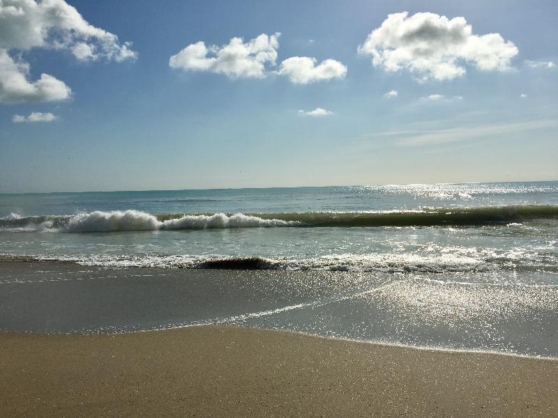 Hollywood Beach Marriott Hotel Luaran gambar